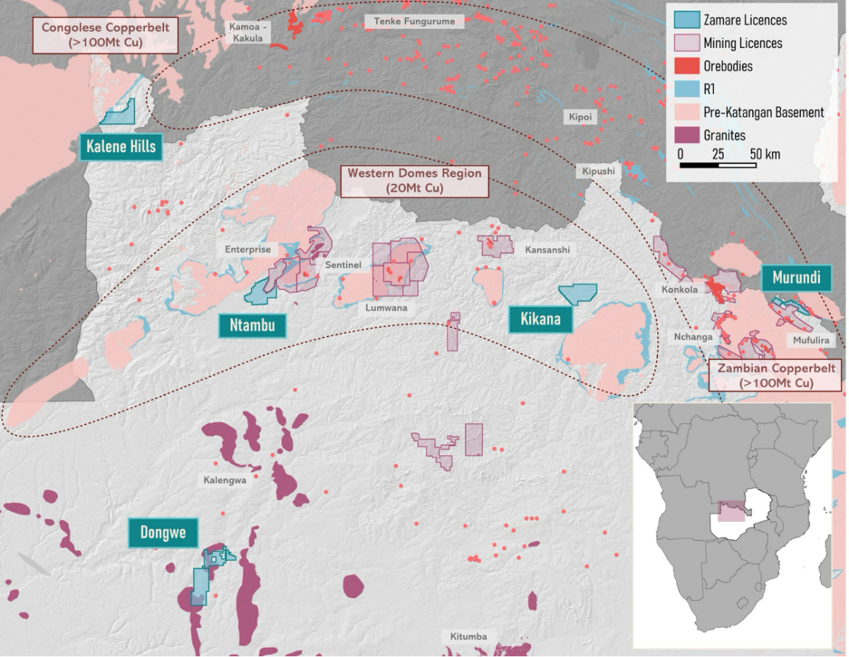 Zamare Minerals licences